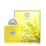 Amouage Love Mimosa Kadın EDP 100 ml Tester Parfüm