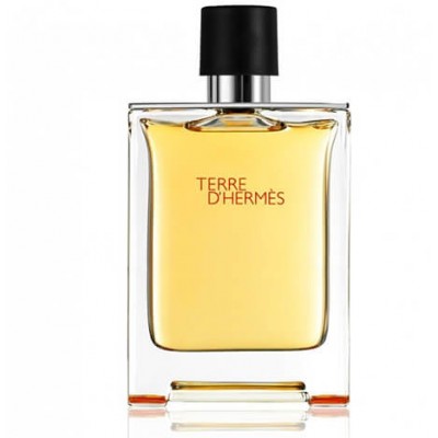 Hermes Terre D’Hermes Edt 100 ml Erkek Tester Parfüm